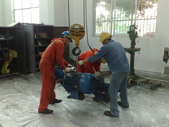 海洋石油富島有限公司一期大修機組、扒料機、安全閥及電機技術服務項目(圖2)