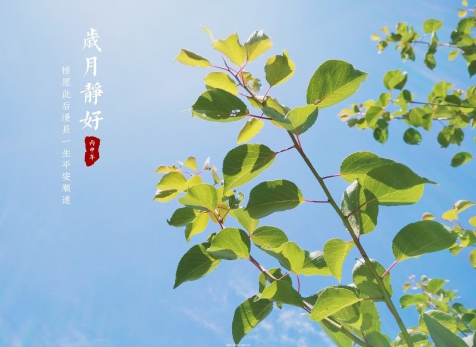 愿歲月靜好，山河無(wú)恙